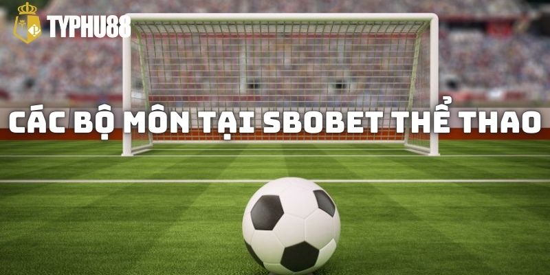 Các bộ môn tại SBOBET Typhu88